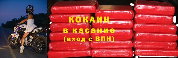 хмурый Белокуриха