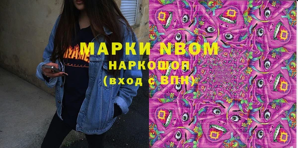 хмурый Белокуриха