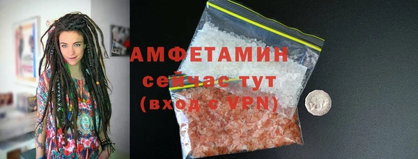 трава Няндома